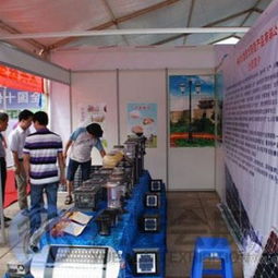 專業(yè)會議及展覽服務(wù) 南寧市悅龍會議展覽服務(wù)有限責(zé)任公司為東盟博覽會、廣西婚博會等展會提供標(biāo)準(zhǔn)展位一站式解決方案